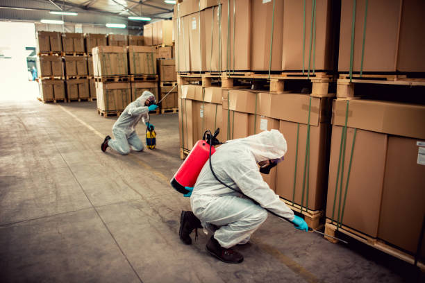 Best Best Pest Control Companies  in Fulton, NY
