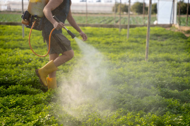Best Local Pest Control Services  in Fulton, NY