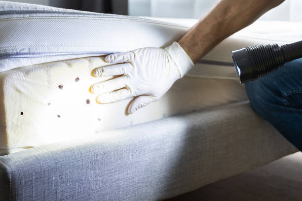 Best Affordable Pest Control Services  in Fulton, NY