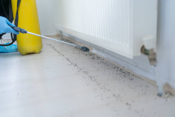 Pest Control for Restaurants in Fulton, NY