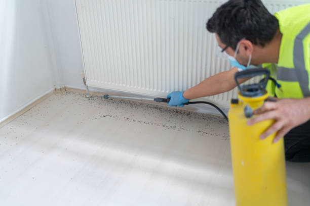 Professional Pest Control in Fulton, NY